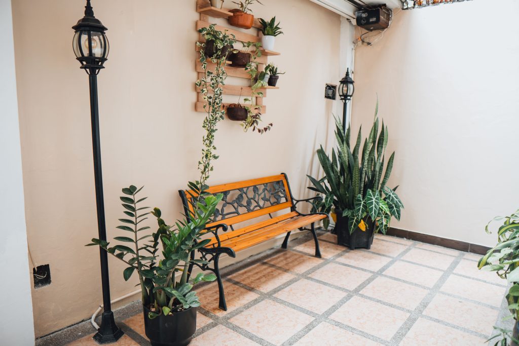 DSC05986-Mejorado-NR